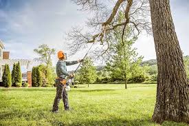 Trusted Pekin, IL Tree Removal Experts